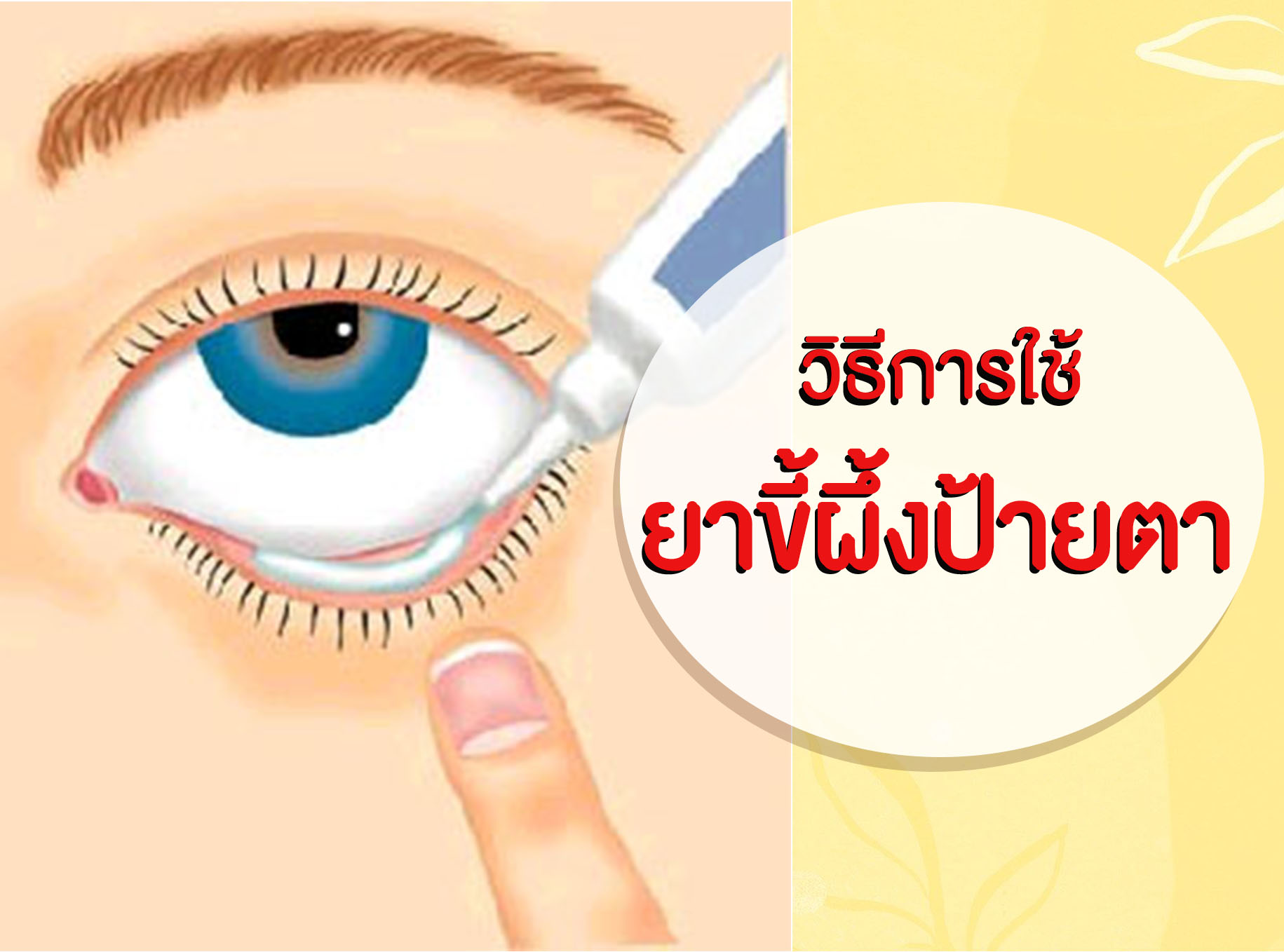 Images/Blog/LXU0CFJ6-วิธีใช้ยาขี้ผึ้งป้ายตา.jpg